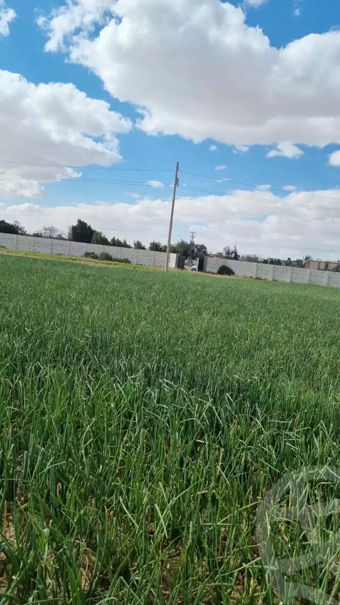 https://aqarmap.com.eg/ar/listing/6113978-for-sale-beni-suef-el-fashn-el-gfadon