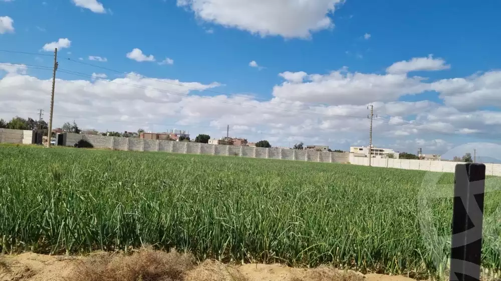 https://aqarmap.com.eg/ar/listing/6113978-for-sale-beni-suef-el-fashn-el-gfadon