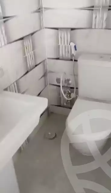 https://aqarmap.com.eg/en/listing/6114957-for-rent-cairo-dokki-msdq