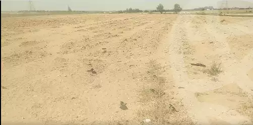https://aqarmap.com.eg/ar/listing/6116183-for-sale-beheira-wadi-el-natrun