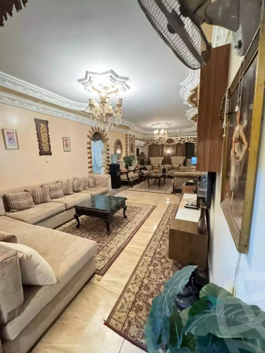 https://aqarmap.com.eg/en/listing/6121900-for-sale-cairo-ain-shams-mnshy-lthryr