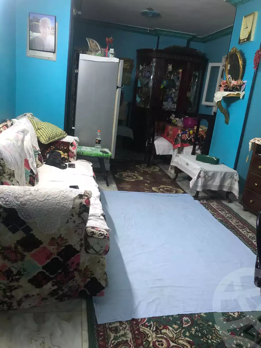 https://aqarmap.com.eg/en/listing/6125488-for-sale-cairo-ain-shams-jsr-lswys