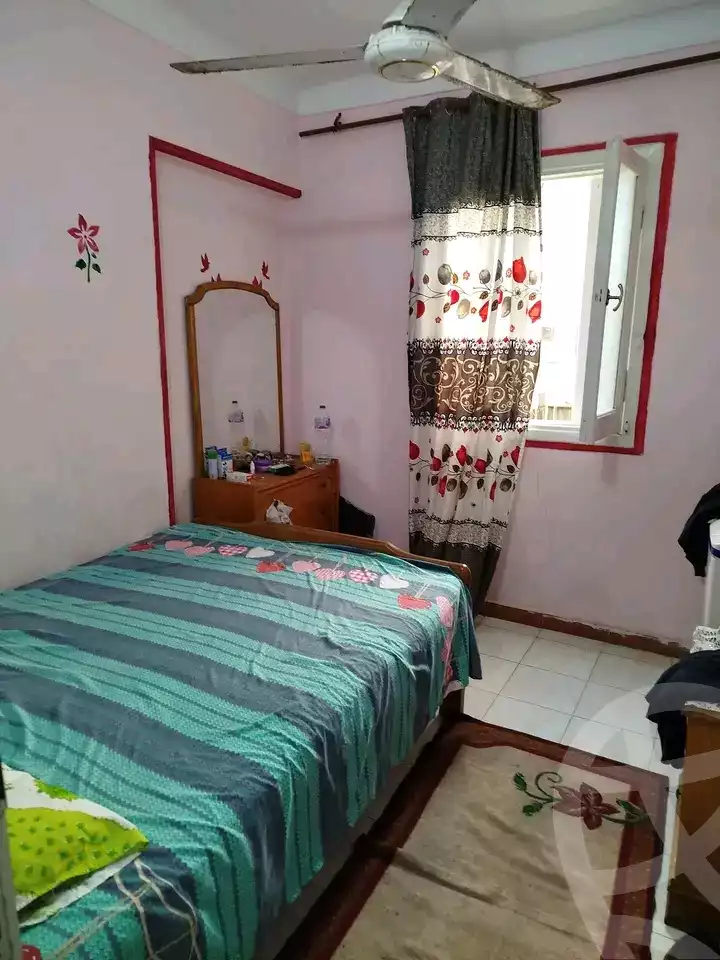 https://aqarmap.com.eg/en/listing/6125808-for-rent-alexandria-miami-khld-bn-lwlyd