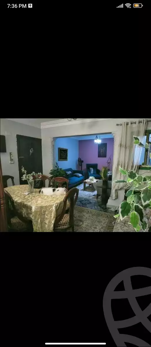 https://aqarmap.com.eg/ar/listing/6131044-for-sale-cairo-ain-shams-ain-shams-el-sharkia