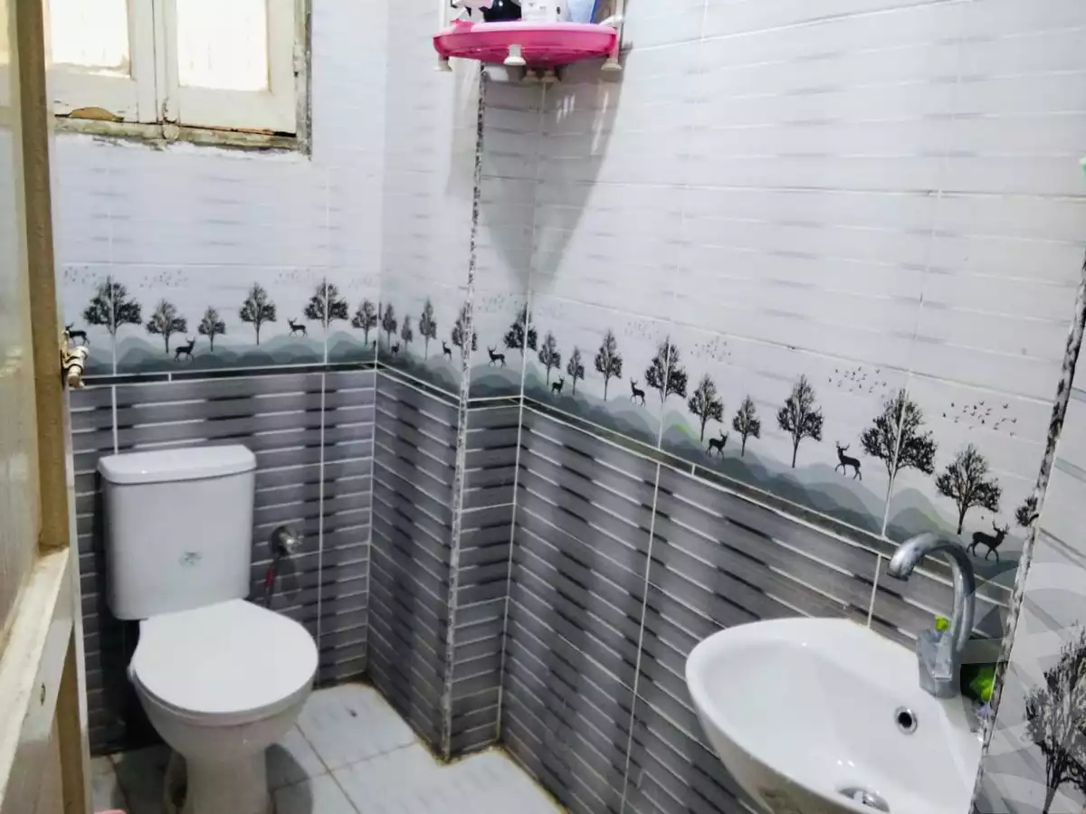 https://aqarmap.com.eg/en/listing/6131882-for-sale-cairo-ain-shams-ahmed-esmat-st