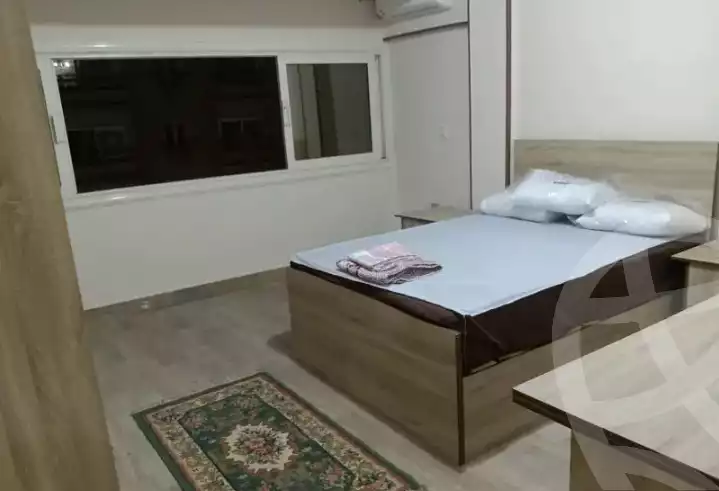 https://aqarmap.com.eg/en/listing/6137435-for-rent-cairo-manial-el-rawda-st