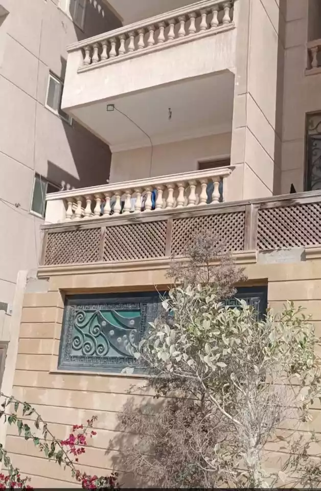 https://aqarmap.com.eg/en/listing/6138535-for-sale-cairo-hadayek-el-ahram-el-gaish-st