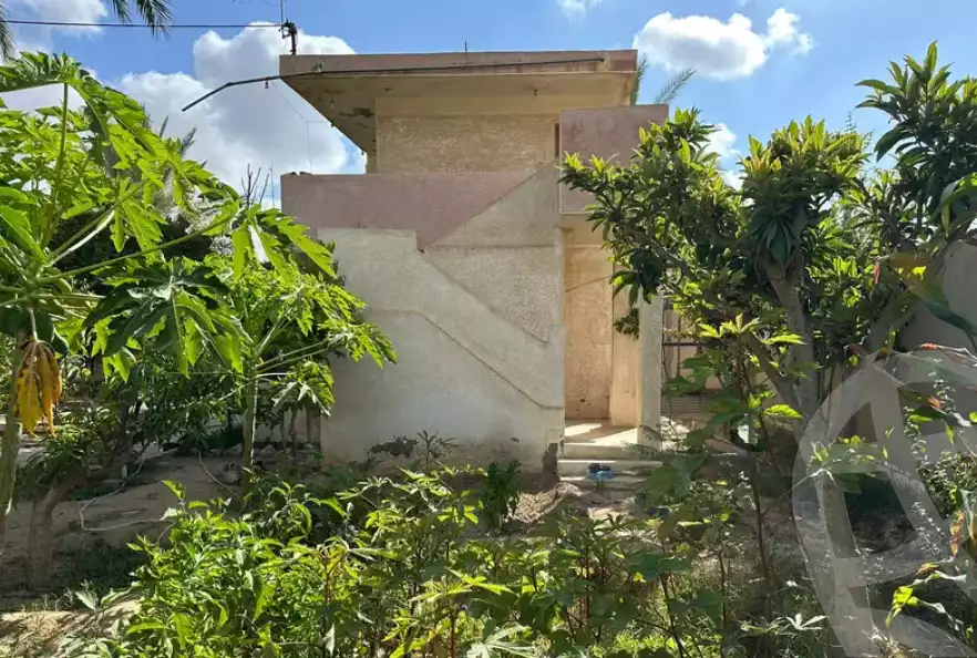 https://aqarmap.com.eg/en/listing/6140166-for-sale-alexandria-borg-el-arab