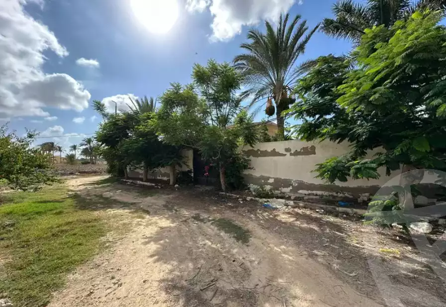 https://aqarmap.com.eg/en/listing/6140166-for-sale-alexandria-borg-el-arab