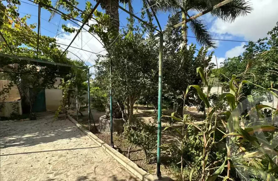 https://aqarmap.com.eg/en/listing/6140166-for-sale-alexandria-borg-el-arab