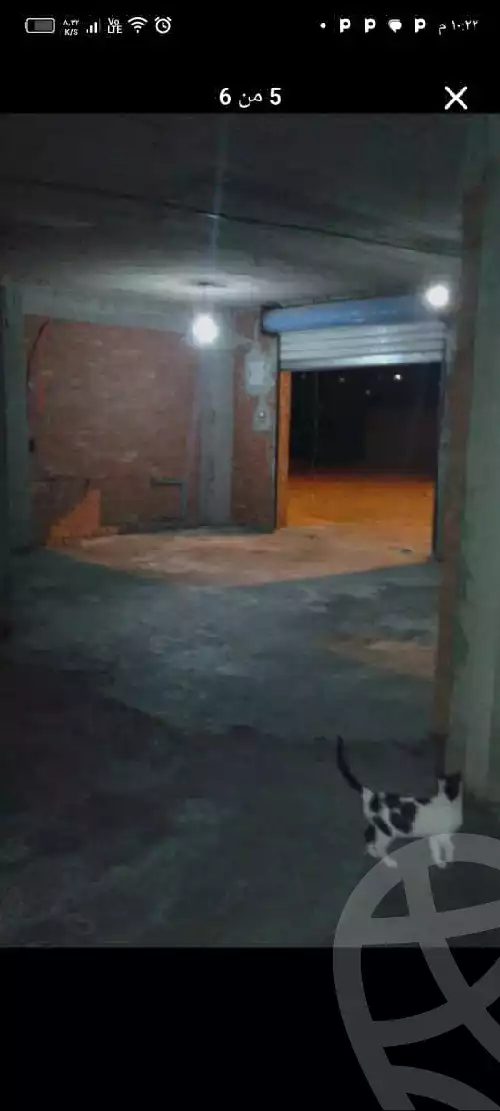 https://aqarmap.com.eg/ar/listing/6141186-for-rent-qalyubia-banha-city-banha-city-el-mashroa-st