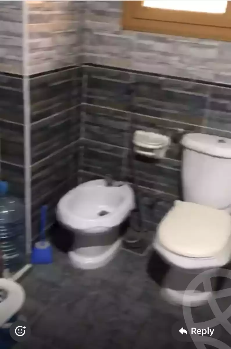 https://aqarmap.com.eg/en/listing/6141885-for-rent-sharqia-zagazig-el-kawmia