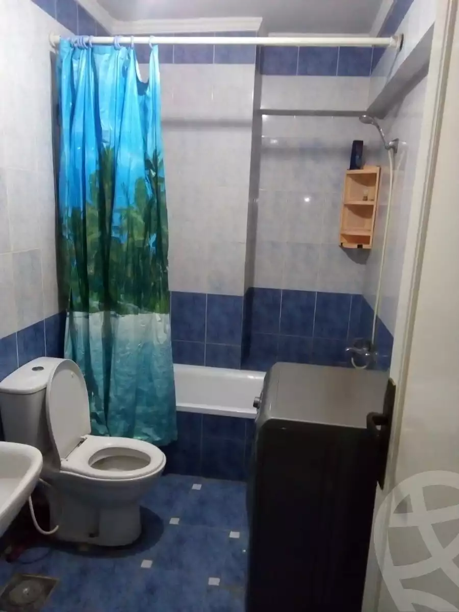 https://aqarmap.com.eg/en/listing/6143475-for-rent-alexandria-miami