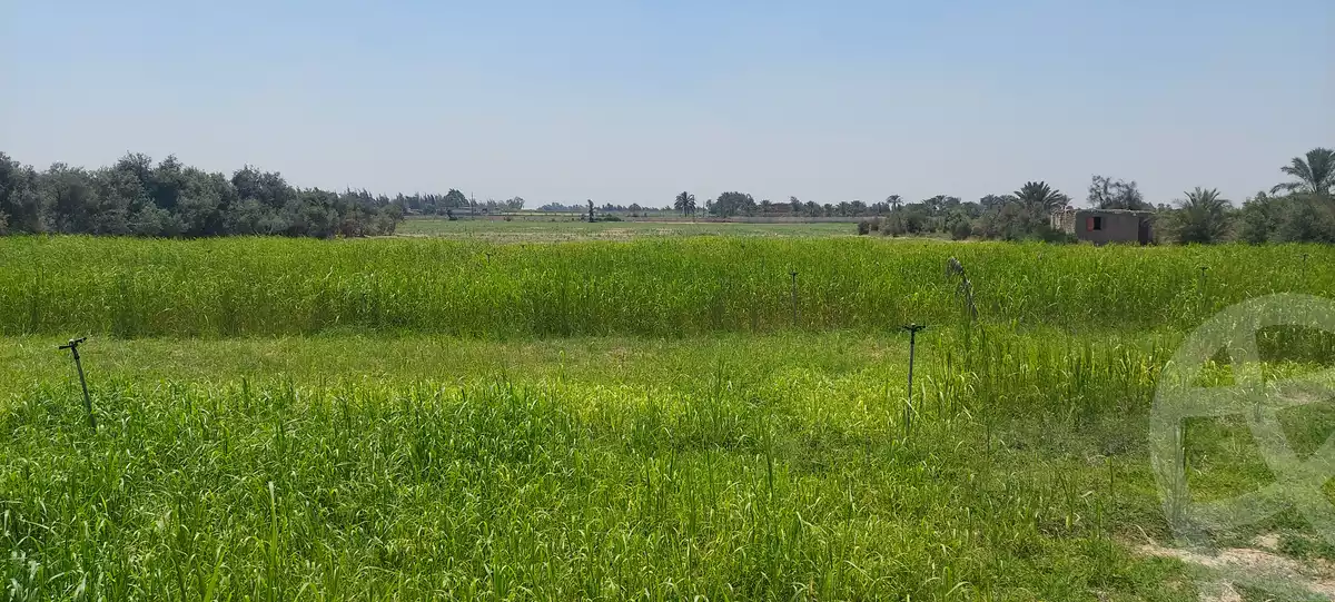 https://aqarmap.com.eg/en/listing/6153287-for-sale-ismailia-kassassin