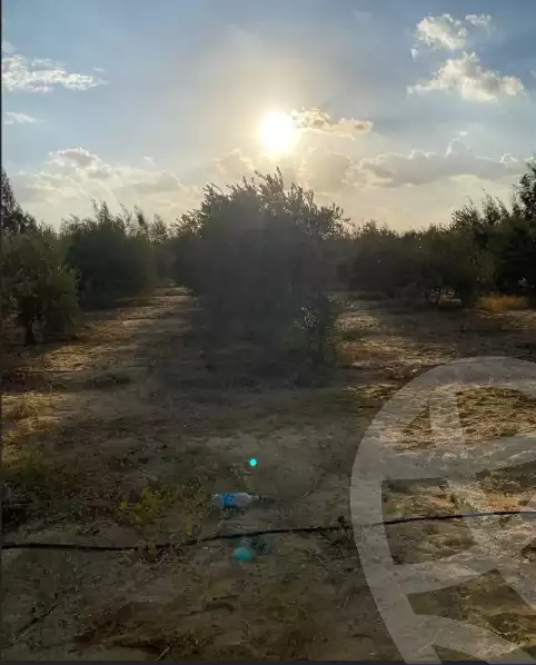 https://aqarmap.com.eg/en/listing/6157210-for-sale-beheira-wadi-el-natrun