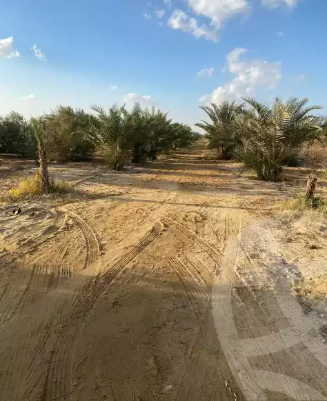 https://aqarmap.com.eg/en/listing/6157210-for-sale-beheira-wadi-el-natrun