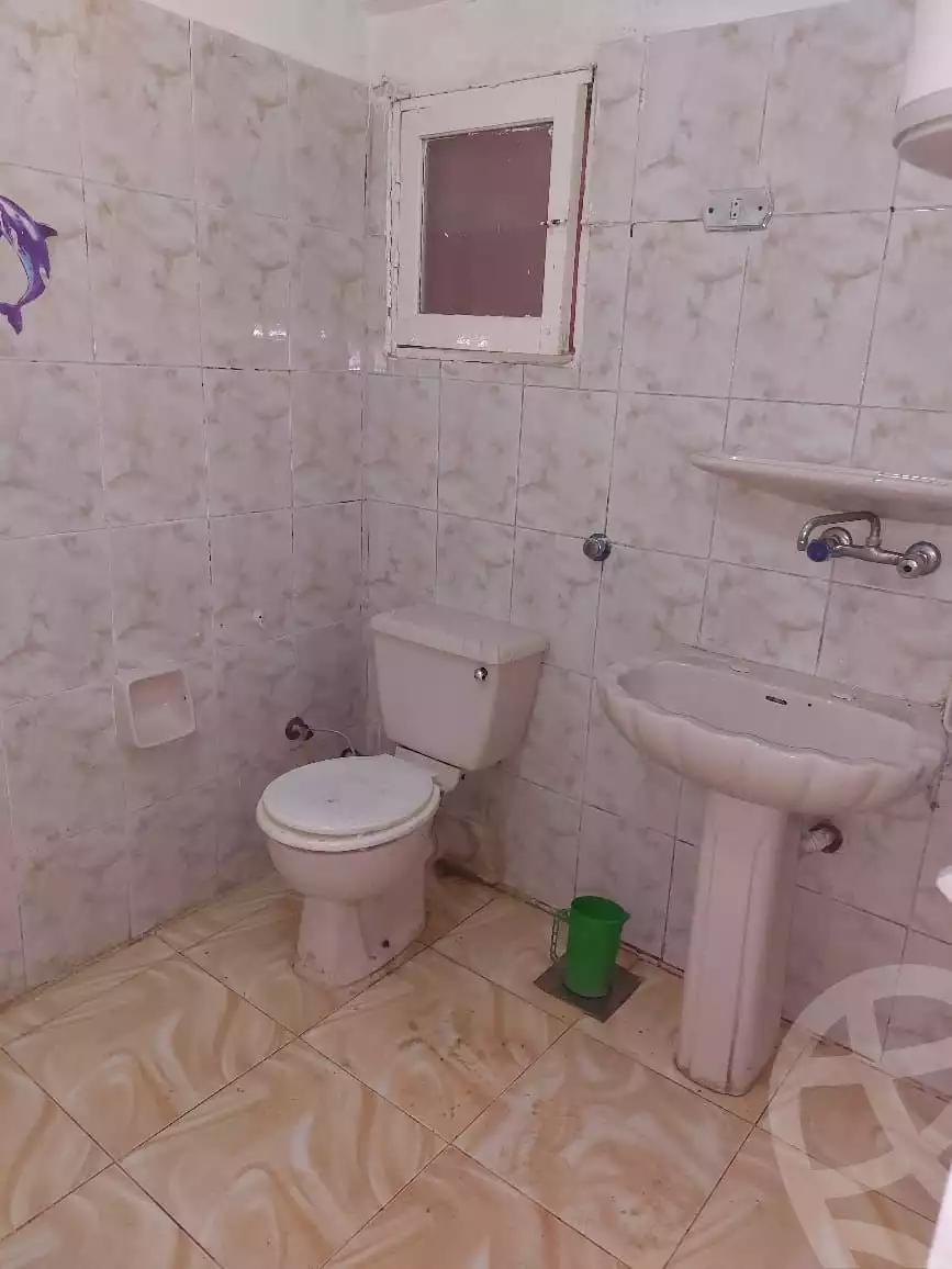 https://aqarmap.com.eg/en/listing/6157745-for-rent-alexandria-l-jmy-lbytsh