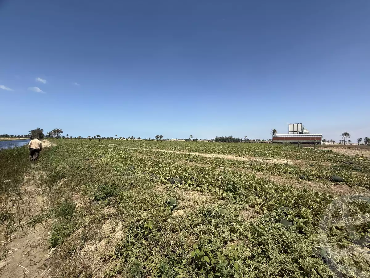 https://aqarmap.com.eg/en/listing/6161331-for-sale-dakahlia-belqas-qlbshwa