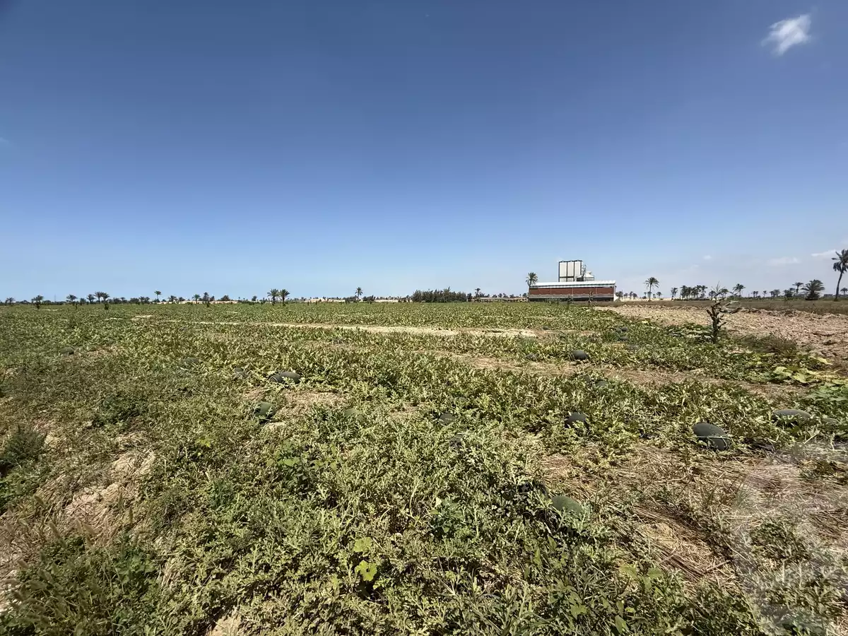 https://aqarmap.com.eg/en/listing/6161331-for-sale-dakahlia-belqas-qlbshwa
