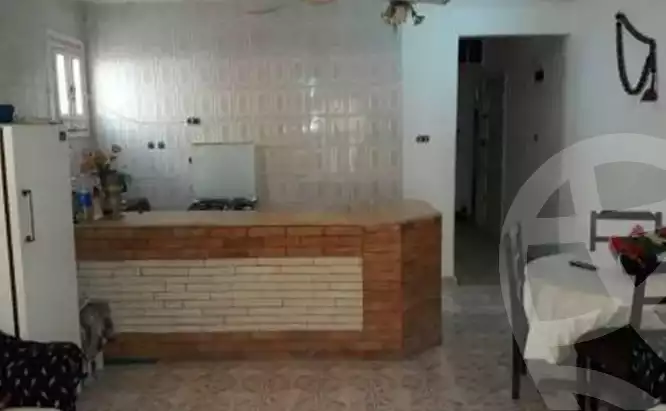 https://aqarmap.com.eg/en/listing/6165103-for-rent-alexandria-l-jmy-shataa-el-nakheel