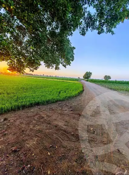 https://aqarmap.com.eg/en/listing/6166899-for-sale-beheira-damanhour-damanhour-city