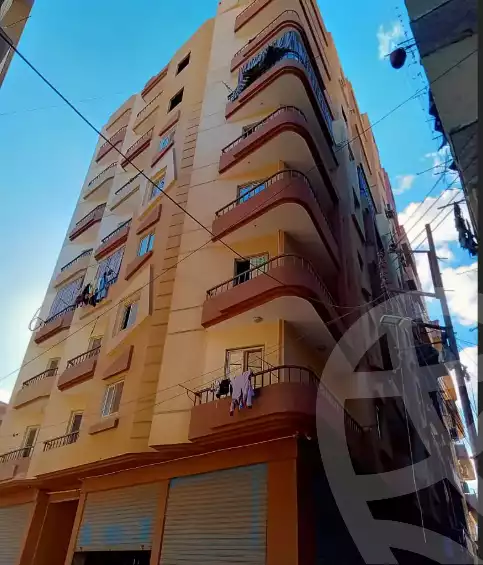 https://aqarmap.com.eg/ar/listing/6169026-for-sale-monufia-shibin-el-kom