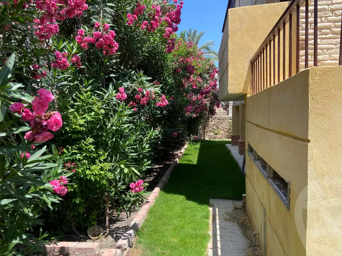 https://aqarmap.com.eg/en/listing/6169863-for-sale-alexandria-l-jmy-el-hanouvel-al-mahdwi-st