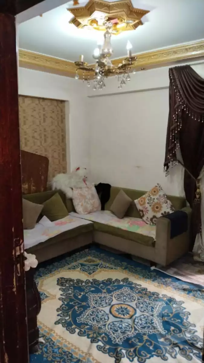 https://aqarmap.com.eg/ar/listing/6169883-for-sale-alexandria-new-miami-mostafa-kamel-sttt