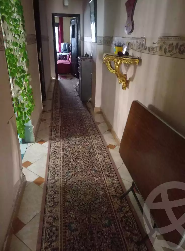 https://aqarmap.com.eg/en/listing/6172154-for-sale-alexandria-l-jmy-bw-ywsf