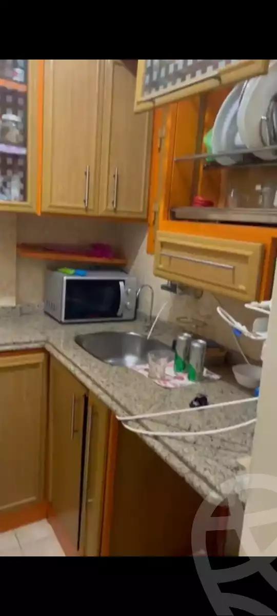https://aqarmap.com.eg/en/listing/6173432-for-sale-alexandria-sydy-bshr-sydy-bshr-bhry-gamal-abd-el-nasir-st