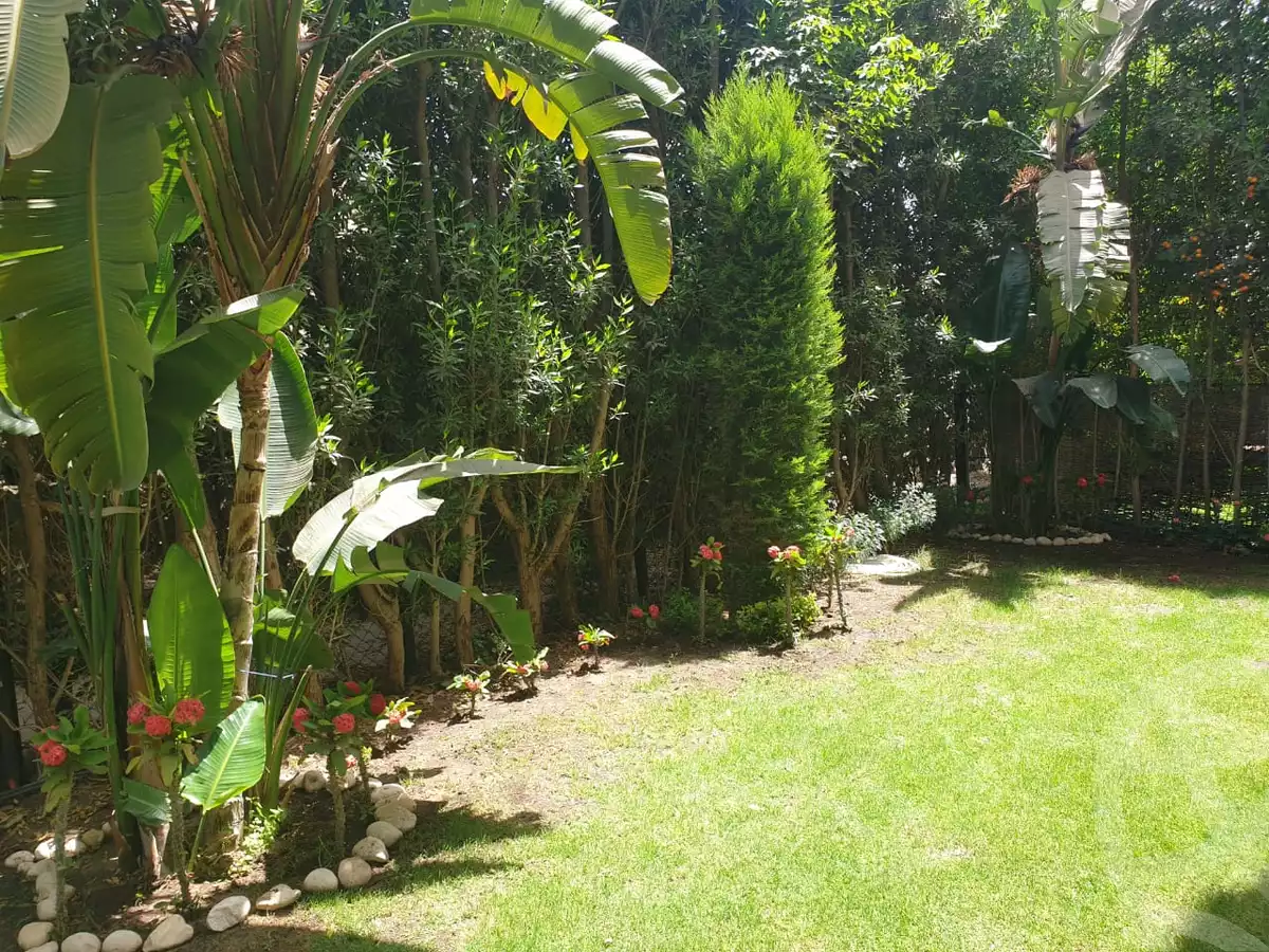 https://aqarmap.com.eg/en/listing/6181611-for-rent-cairo-el-sheikh-zayed-city-compounds-casa