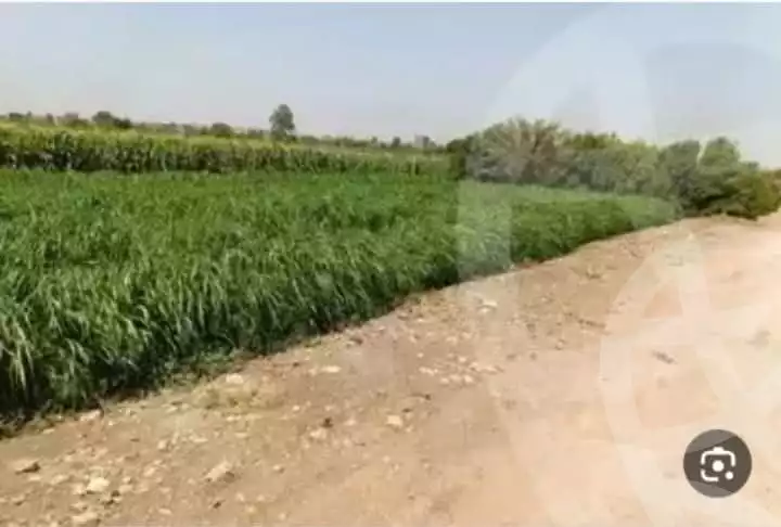https://aqarmap.com.eg/ar/listing/6184302-for-sale-cairo-ljyz-wsym-el-barajil-el-hafrya