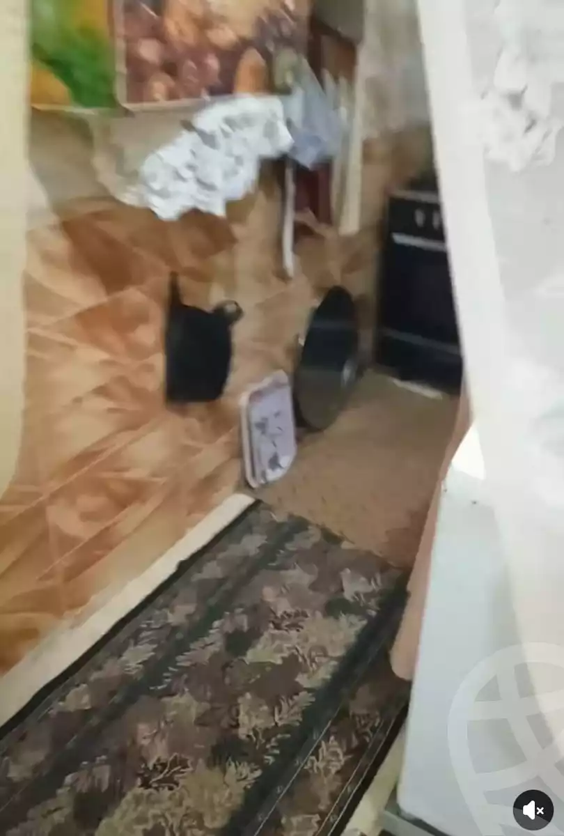 https://aqarmap.com.eg/ar/listing/6188601-for-sale-alexandria-l-jmy-el-hanouvel-al-komi-st-el-hanouvel