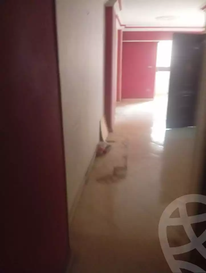https://aqarmap.com.eg/en/listing/6191380-for-rent-cairo-el-zaytun-lzytwn-lshrqy
