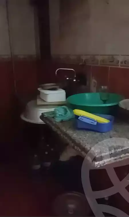 https://aqarmap.com.eg/en/listing/6194489-for-rent-qalyubia-el-khsos