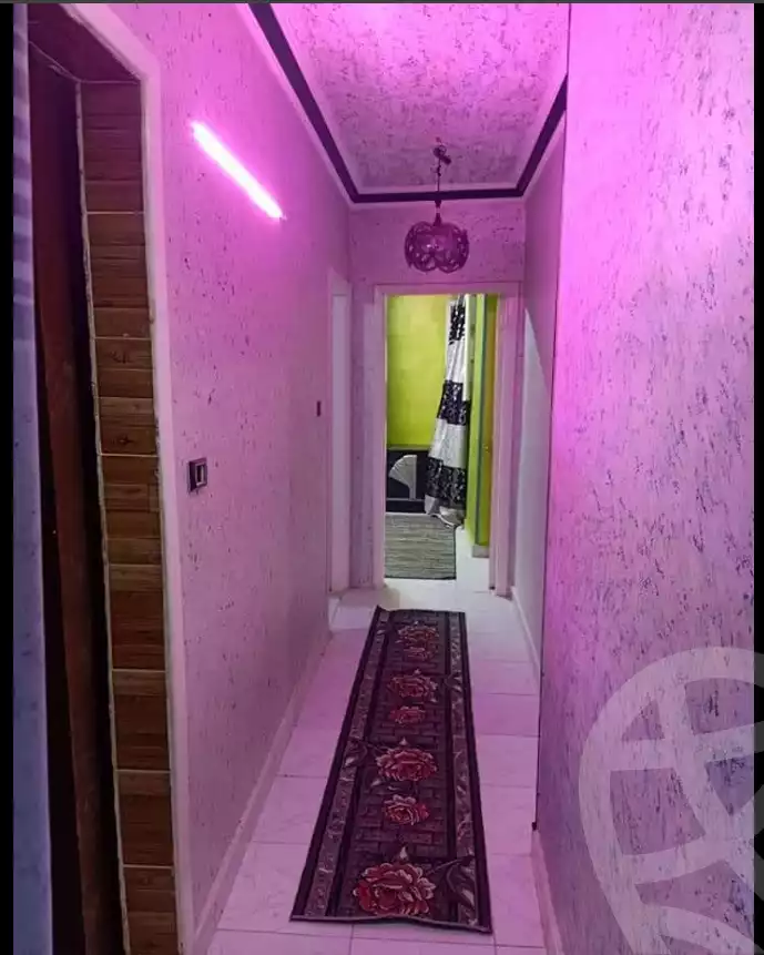 https://aqarmap.com.eg/en/listing/6195074-for-sale-cairo-ain-shams-ain-shams-el-sharkia-genenat-el-sherif-st