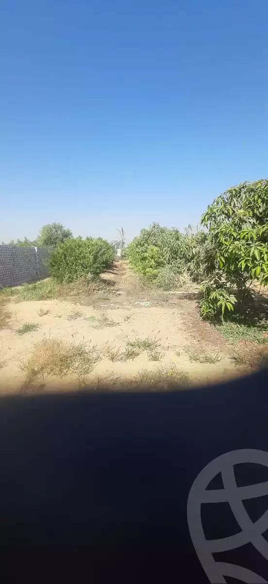 https://aqarmap.com.eg/ar/listing/6198020-for-sale-ismailia-tall-el-kebir