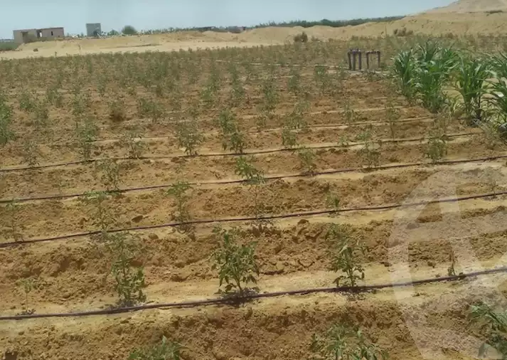 https://aqarmap.com.eg/ar/listing/6198903-for-sale-el-fayoum-tamiya-tamiyyah-city