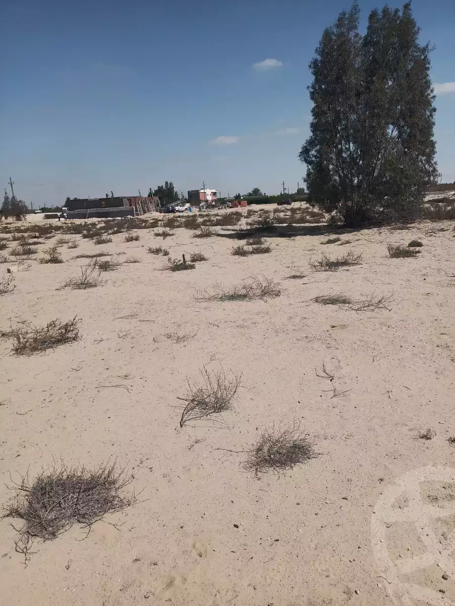 https://aqarmap.com.eg/ar/listing/6206406-for-sale-ismailia-ismailia-city-ismailia-city