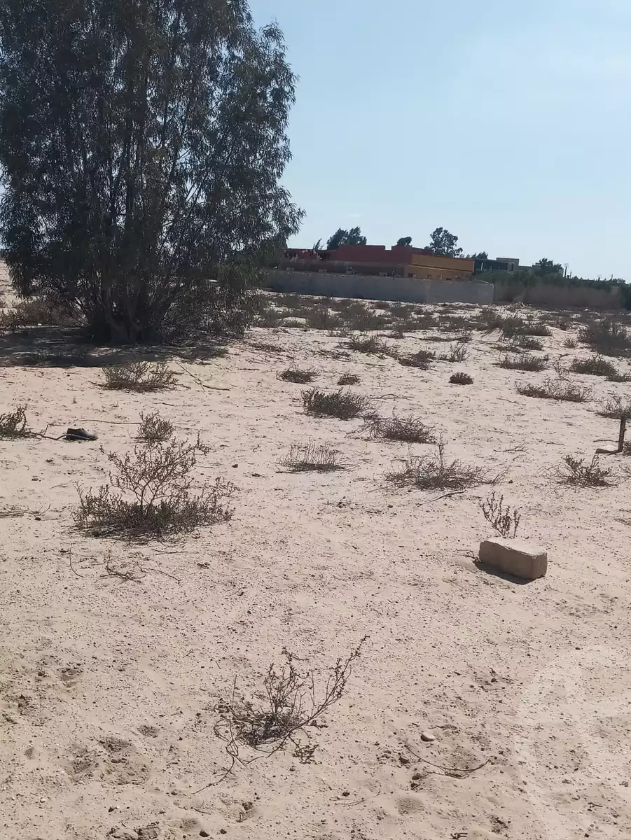 https://aqarmap.com.eg/ar/listing/6206406-for-sale-ismailia-ismailia-city-ismailia-city