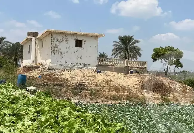 https://aqarmap.com.eg/en/listing/6211172-for-sale-cairo-el-mansuriyyah