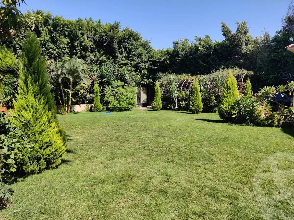 https://aqarmap.com.eg/en/listing/6211893-for-sale-alexandria-king-maryot-omar-el-mokhtar-st