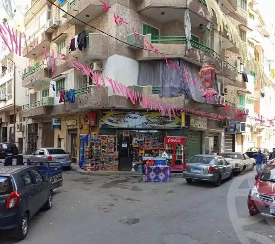 https://aqarmap.com.eg/en/listing/6212829-for-sale-alexandria-ganaklis