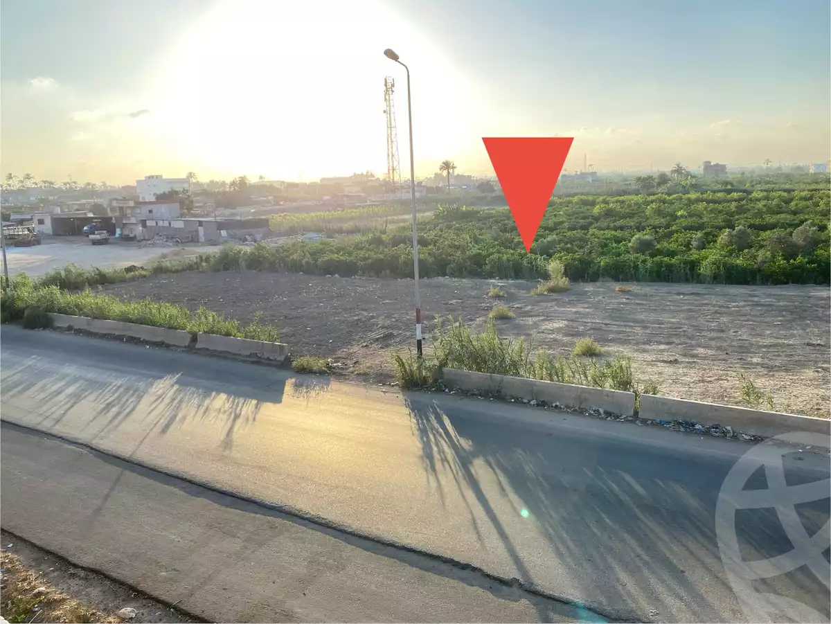 https://aqarmap.com.eg/ar/listing/6213411-for-sale-alexandria-miami-45-street