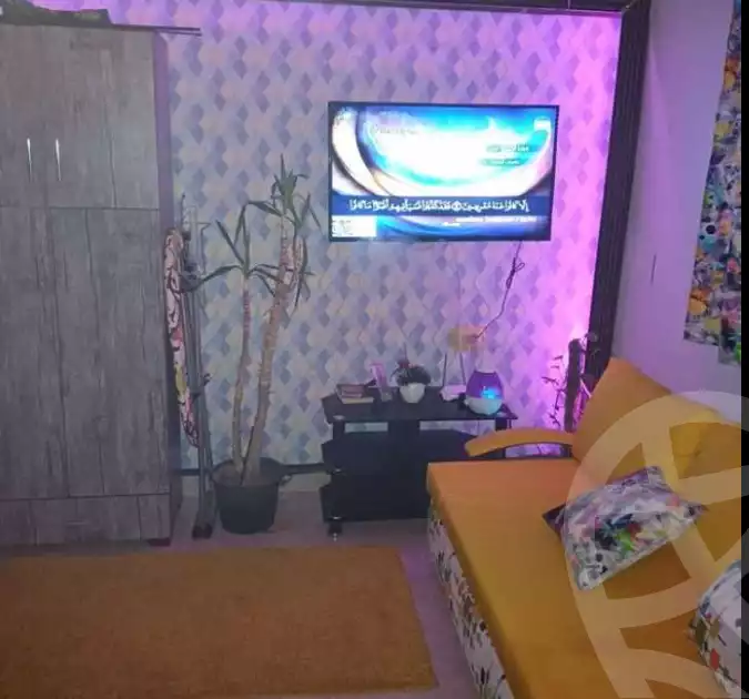 https://aqarmap.com.eg/en/listing/6215655-for-rent-cairo-nasr-city-el-hay-el-thamin-gamal-el-deen-afify-st