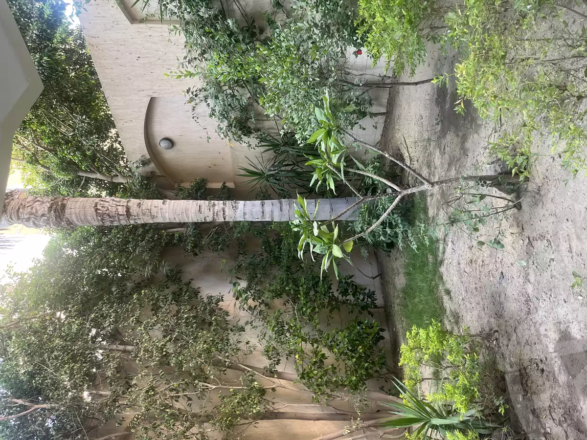 https://aqarmap.com.eg/ar/listing/6233202-for-sale-cairo-new-cairo-el-diplomaseen
