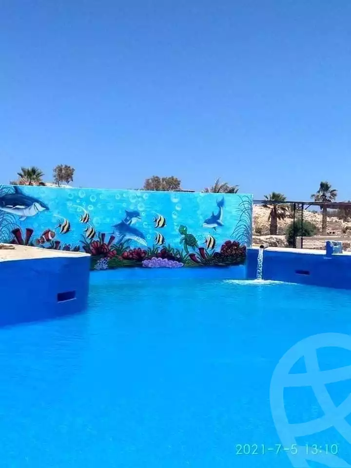 https://aqarmap.com.eg/ar/listing/6233537-for-sale-marsa-matruh-marsa-matrouh-city-alam-el-roum-st