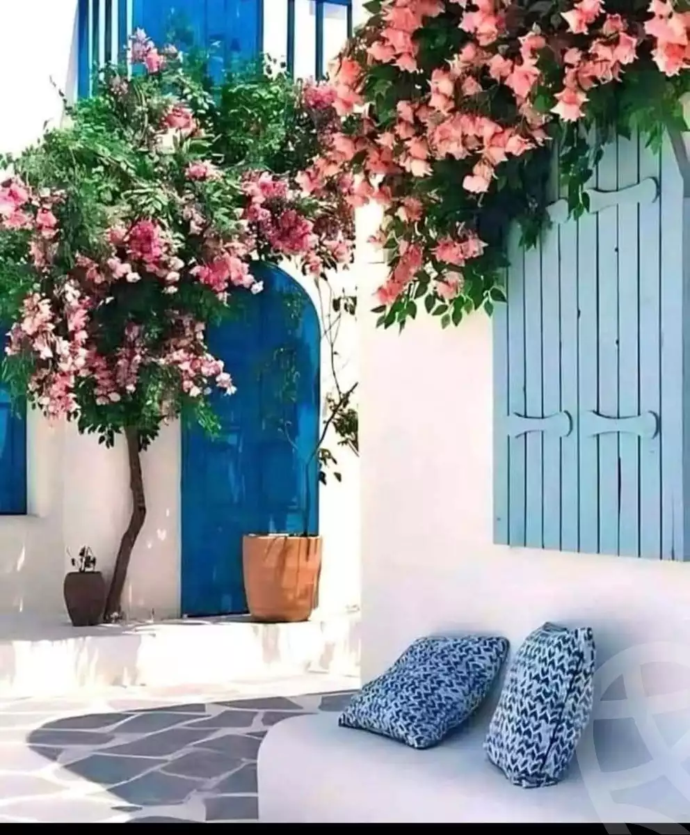https://aqarmap.com.eg/ar/listing/6235014-for-sale-north-coast-resorts-plage-resort-mountain-view