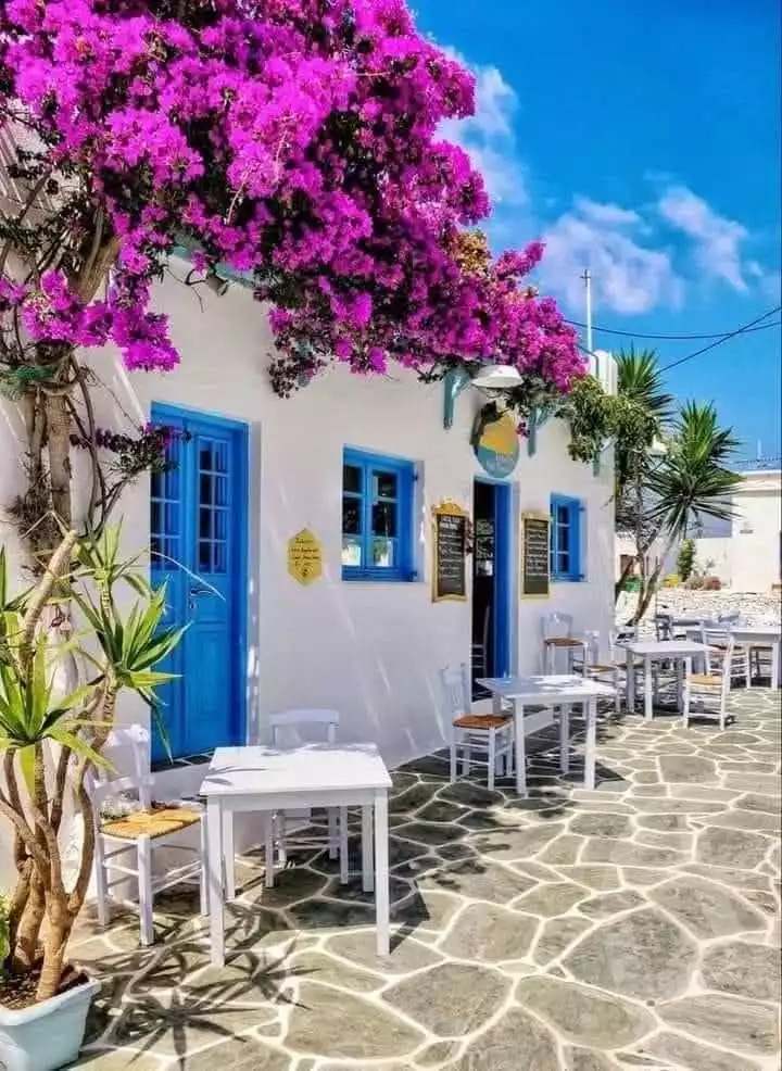 https://aqarmap.com.eg/ar/listing/6235014-for-sale-north-coast-resorts-plage-resort-mountain-view