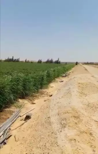 https://aqarmap.com.eg/en/listing/6237977-for-sale-beheira-wadi-el-natrun
